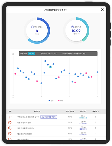 AI 맞춤 문제 결과 분석